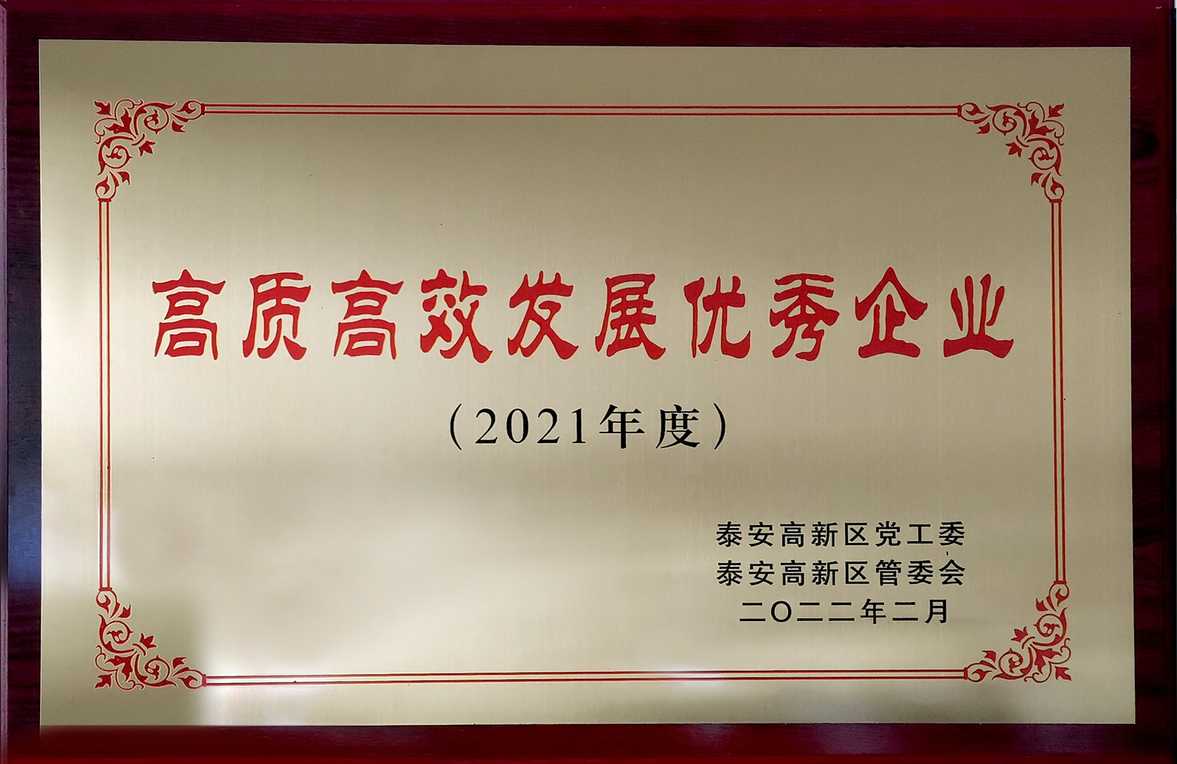 2021年度高質(zhì)高效發(fā)展優(yōu)秀企業(yè)
